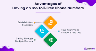 Advantages And Disadvantages Of Area Code 855: