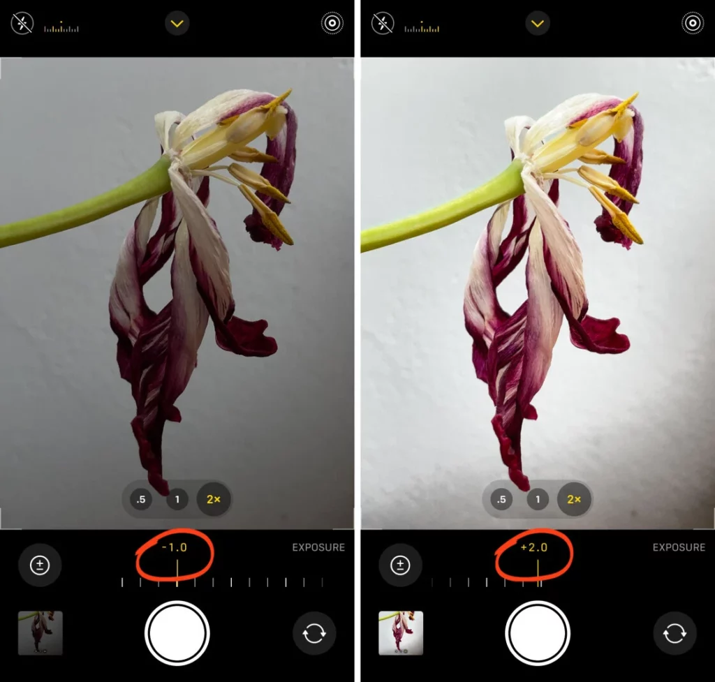 How Do You Change The Exposure On Your iPhone Camera?